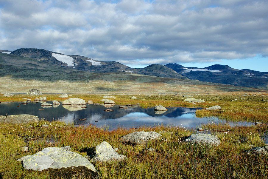 норвегия, горы, плато, senjor