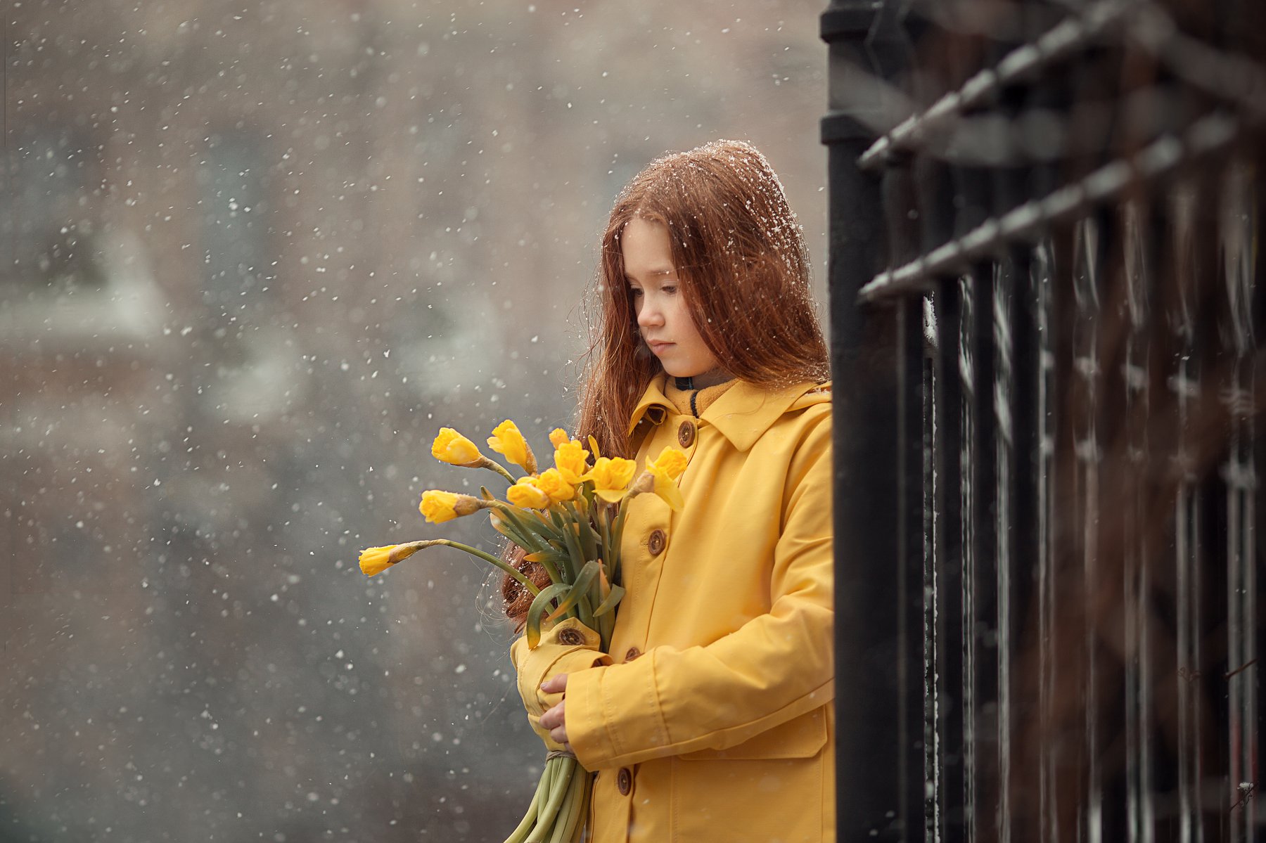 Девочка портрет нарциссы желтый снег рыжий, Людмила Бобровская