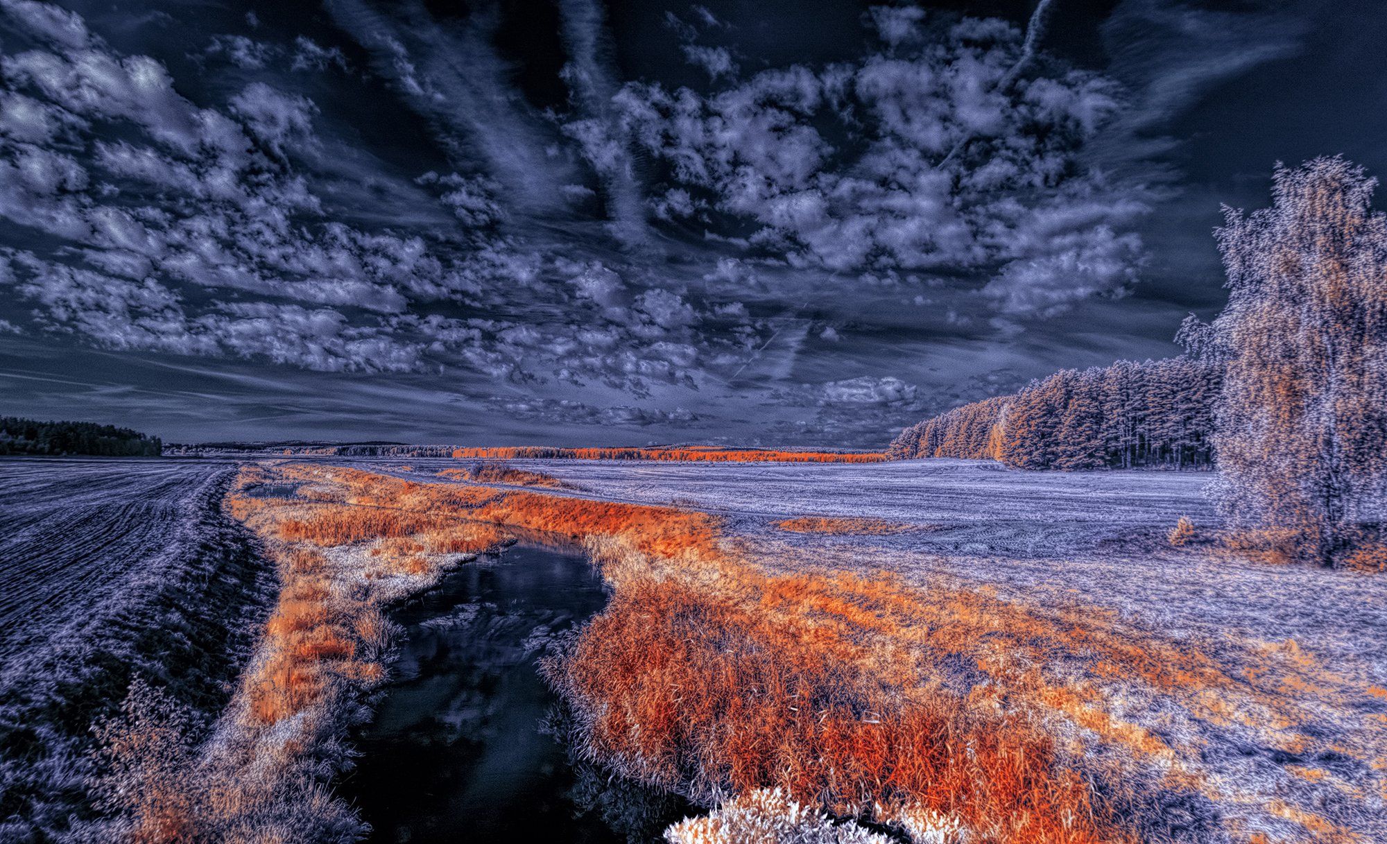 infrared,ик-фото,инфракрасное фото, инфракрасная фотография, пейзаж, осень, Sixten ( Сергей )