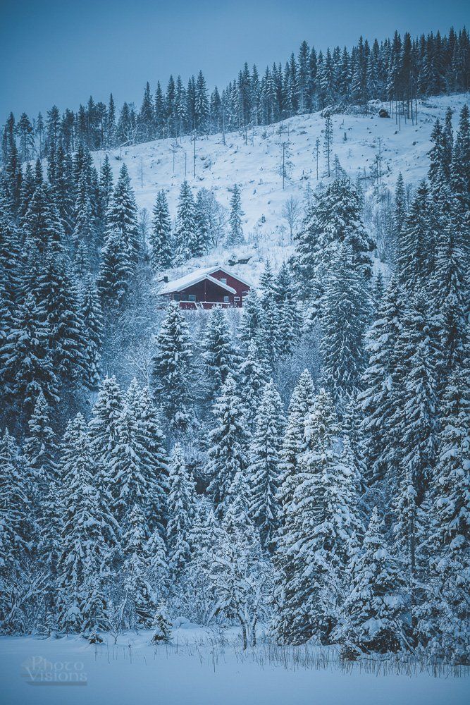 winter,norway,woods,woodland,wintertime,snow,snowy,cabin,house,, Adrian Szatewicz
