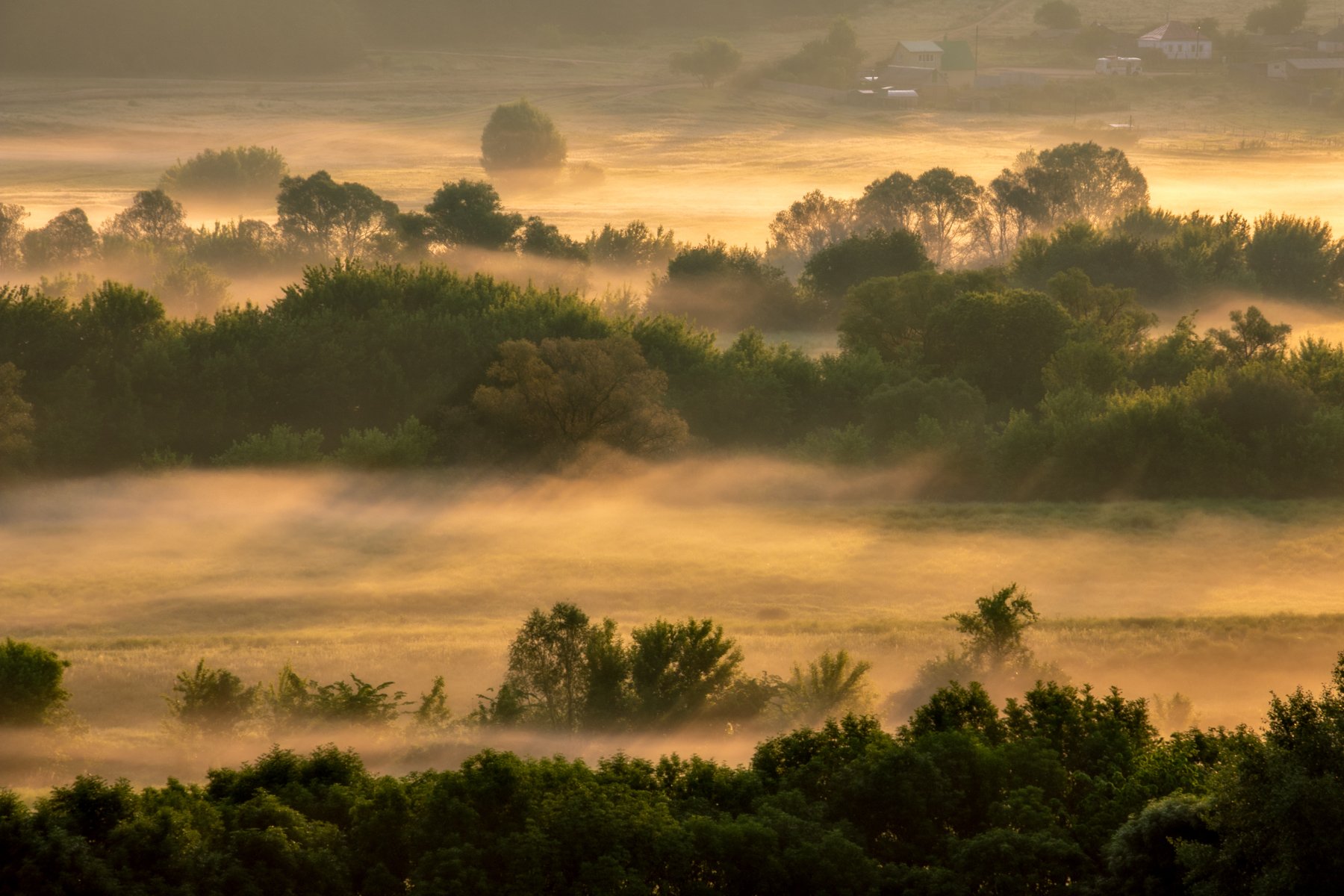 sunrise dawn morning sunlight landscape nature fog mist river outdoors, Александр Хрипушин