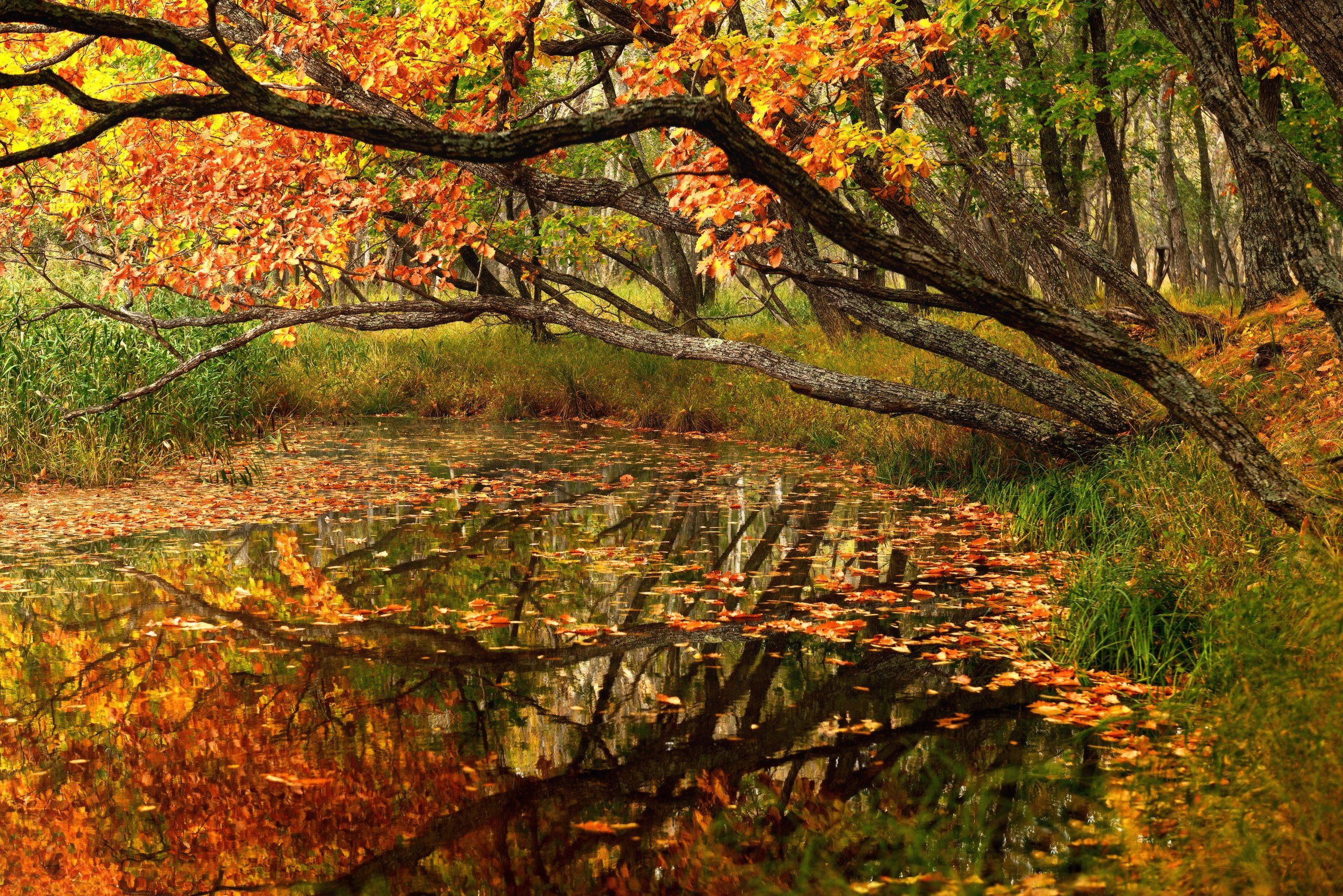 , Максим Евдокимов (phototourtravel.ru)