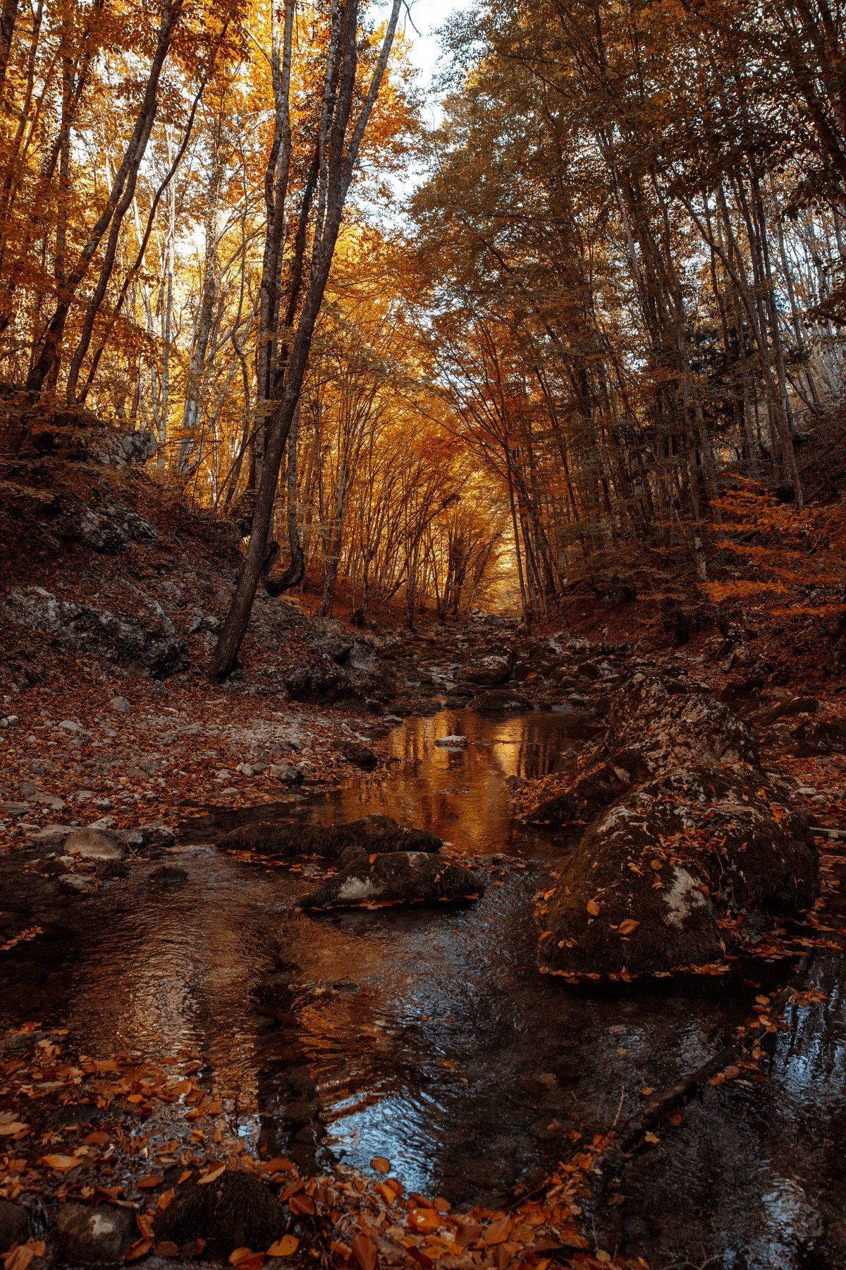 Большой Каньон Крыма, Крым, осень, лес, река, river, forest, autumn, fall, Crimea, Артём Корнев