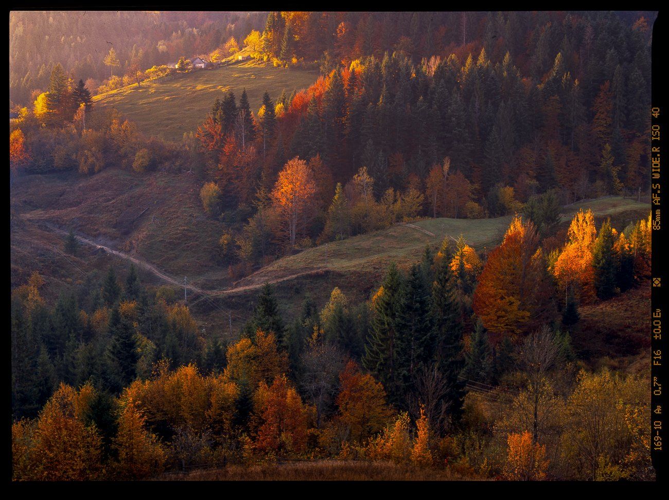 autumn, carpathian, colorful, countryside, fall, field, foliage, forest, hill, house, land, landscape, meadow, morning, mountain, mountains, nature, outdoor, pasture, picturesque, red, rural, scenery, season, tranquil, travel, tree, view, wood, yellow, Арсений Герасименко
