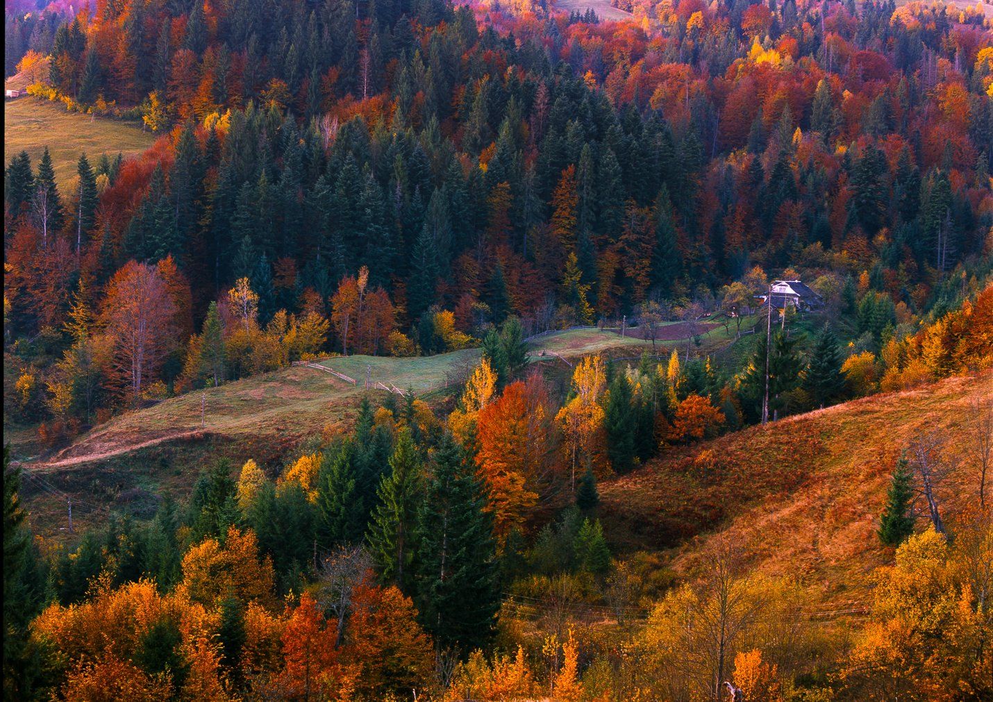 autumn, carpathian, colorful, countryside, fall, field, foliage, forest, hill, house, land, landscape, meadow, morning, mountain, mountains, nature, outdoor, pasture, picturesque, red, rural, scenery, season, tranquil, travel, tree, view, wood, yellow, Арсений Герасименко