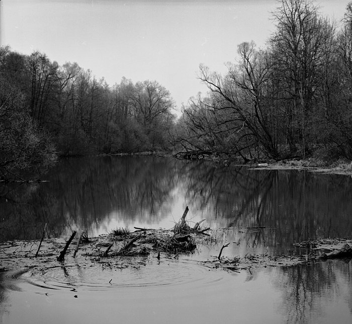 пленка, hasselblad, Андреев Андрей