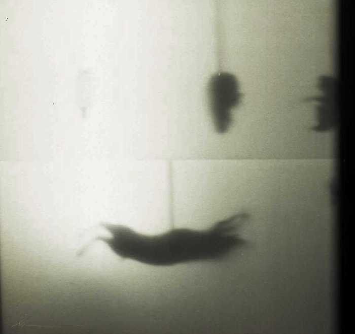 keep_smiling_for_me, Deep in Violet