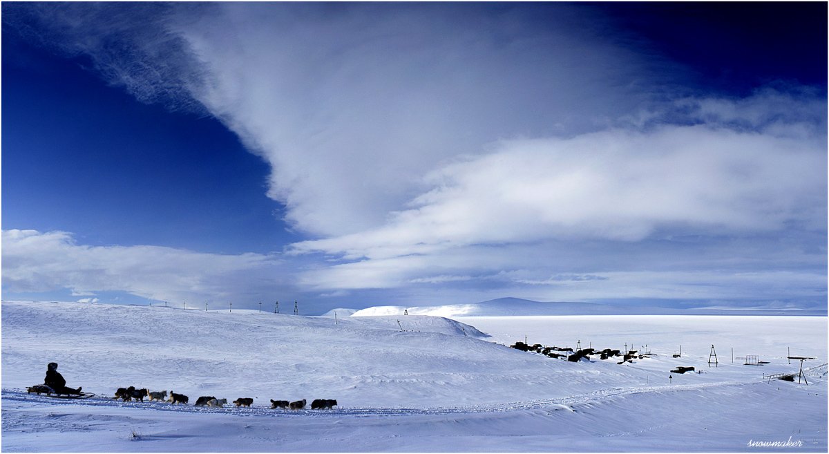 фото, чукотка, собачья упряжка, снег, photo, chukotka, snowmaker, облака, синева, snowmaker