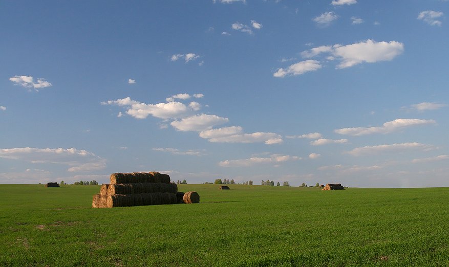 поле, сено, трава, луг, небо, облака, Борис Куприков
