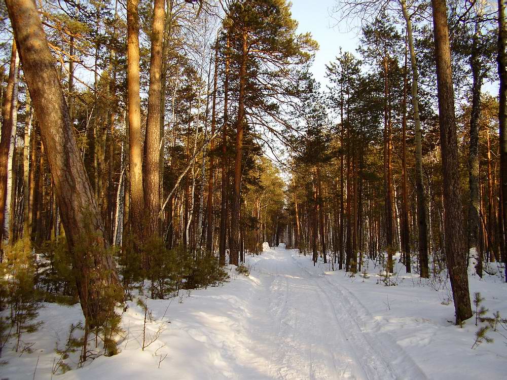 весна, лес, снег, Наталья Герасименко