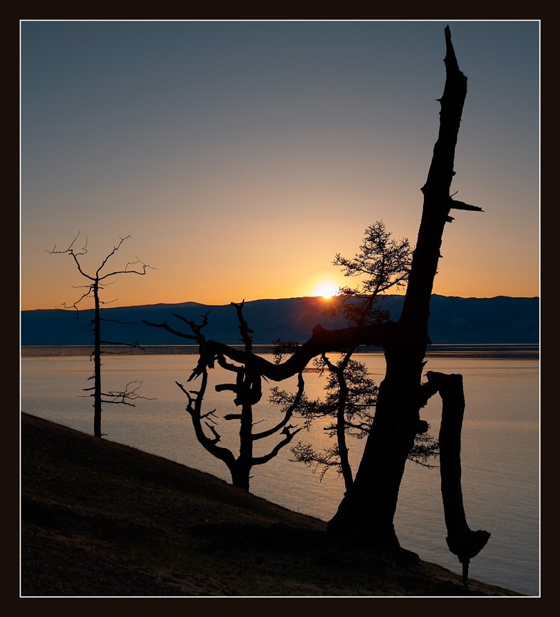закат, озеро, байкал, деревья, Игорь Суржиков