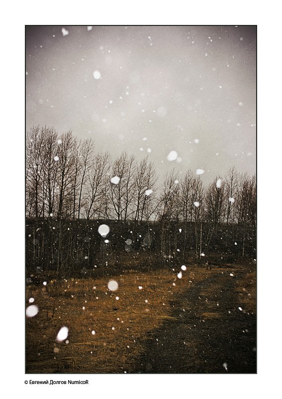весна, красноярск, снег, деревья, Евгений Долгов NumicoR