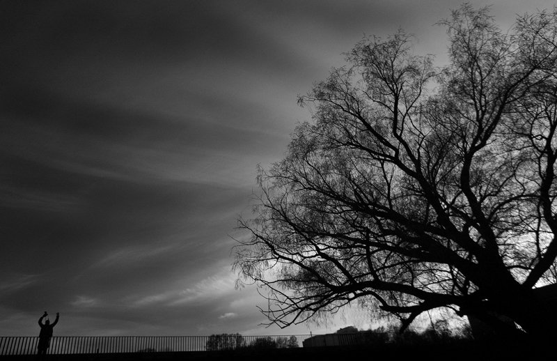 дерево,человек,небо, Евгений Пугачев.
