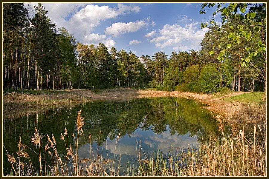 весна пруд лес облака, Георгий