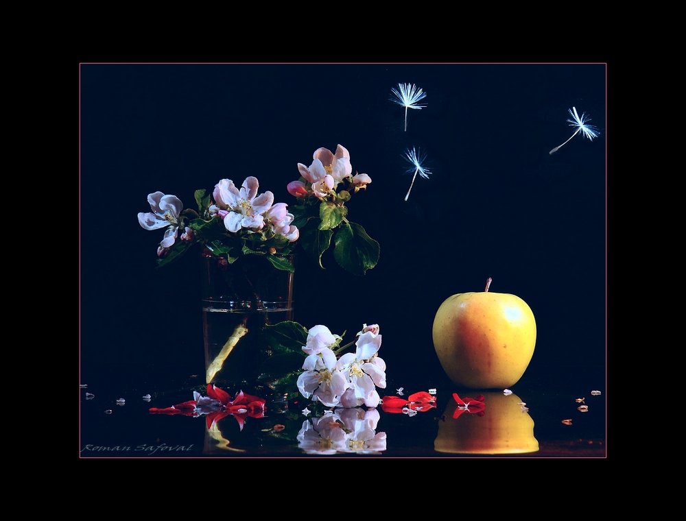 весна,яблоко,цветение, Роман
