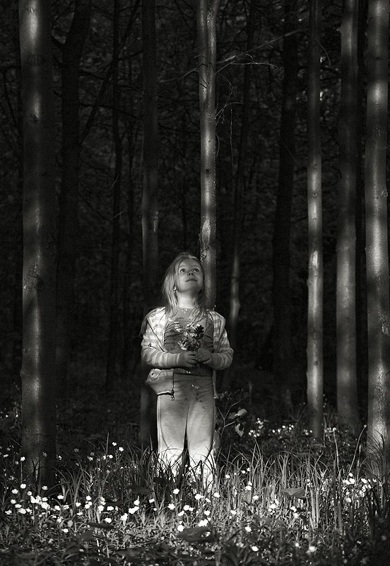 Девочка В Лесу Фото