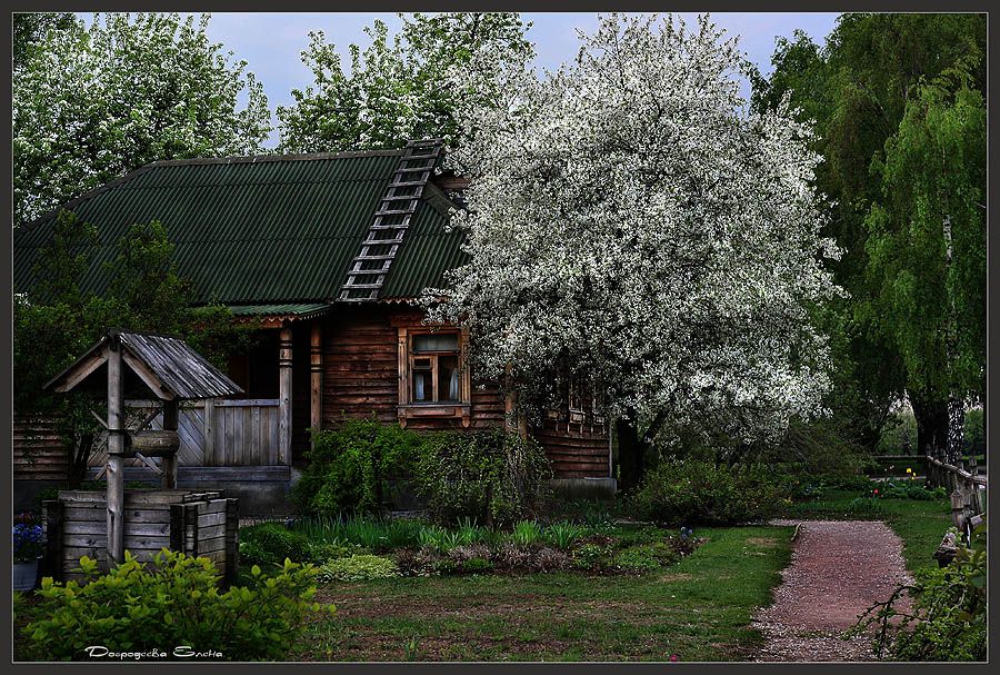 , Добродеева Елена (Алёнка)