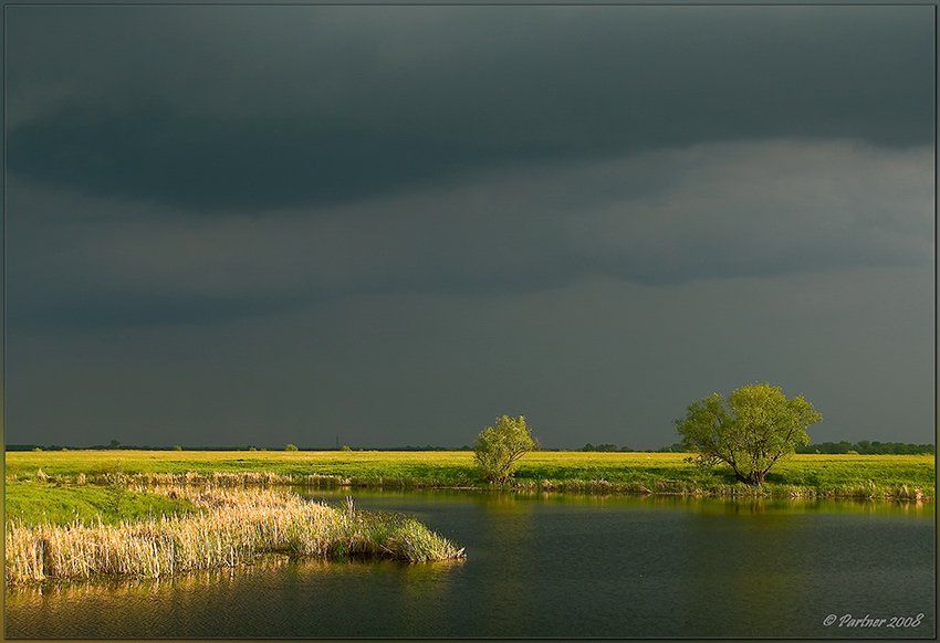 весна озеро гроза, Partner