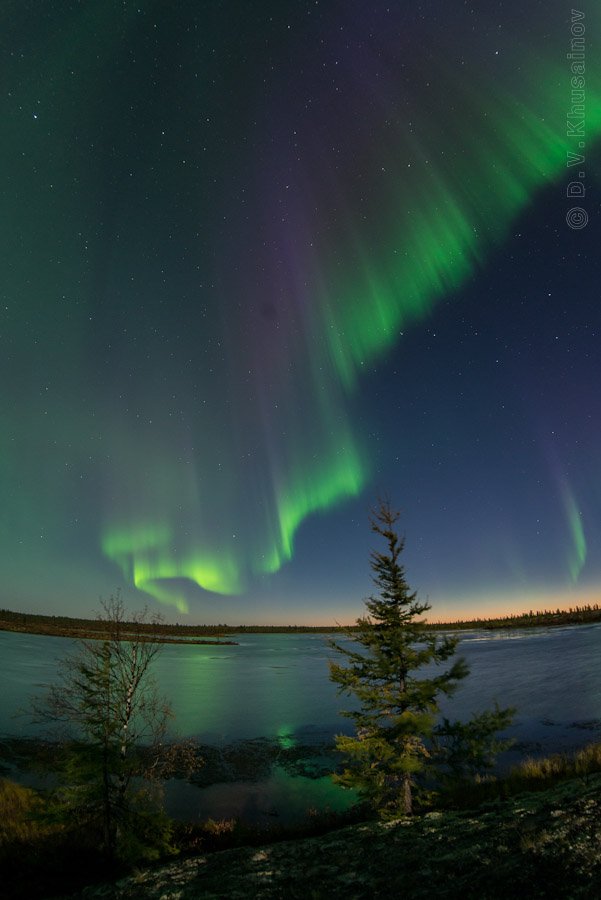 aurora borealis, северное сияние, север, ночной пейзаж,, Danil Husainov