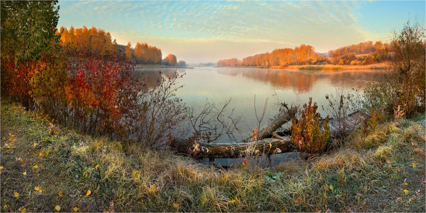 утро, гуриневка, осень, иней, листья, пруд, тропинка, Александр Киценко