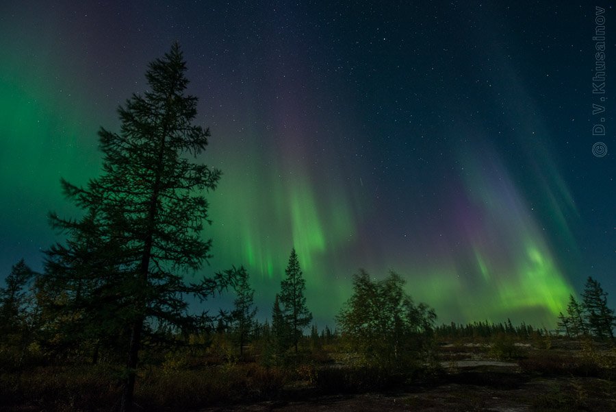 aurora borealis, северное сияние, север, ночной пейзаж, Danil Husainov