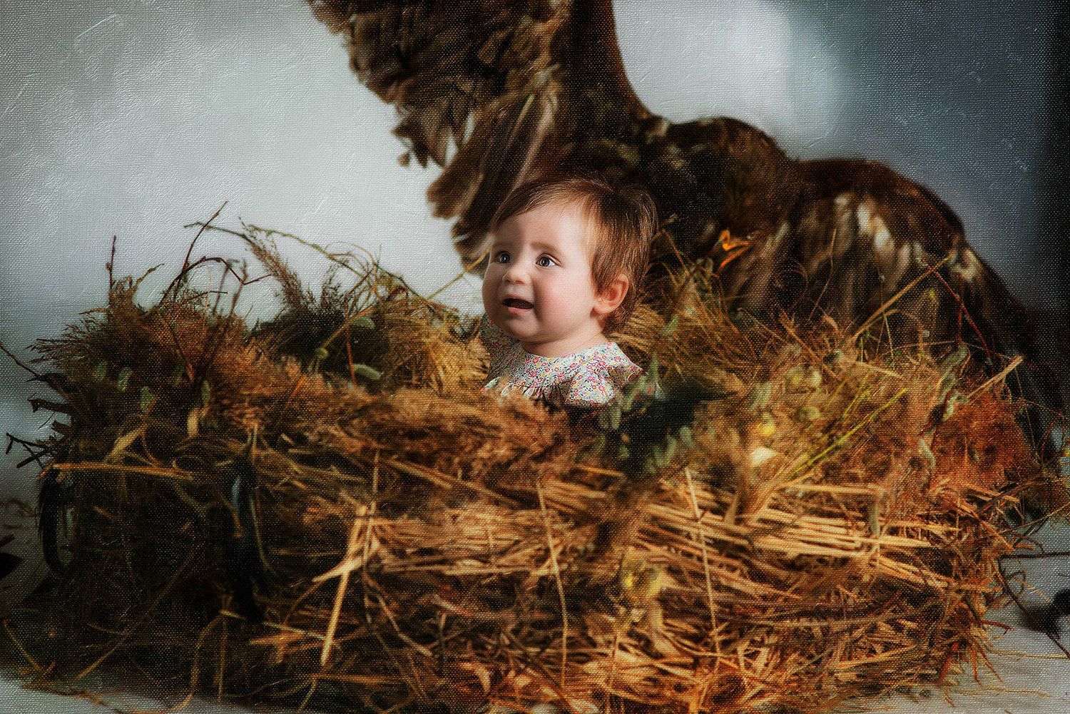 орел дети ребенок гнездо картина, Марина