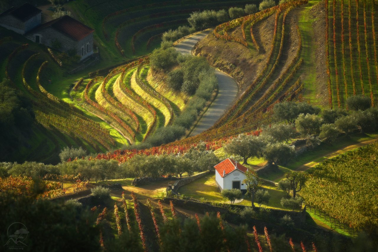португалия, долина дору, виноградники, осень, вино, фототур в португалию, домики, Анатолий Гордиенко