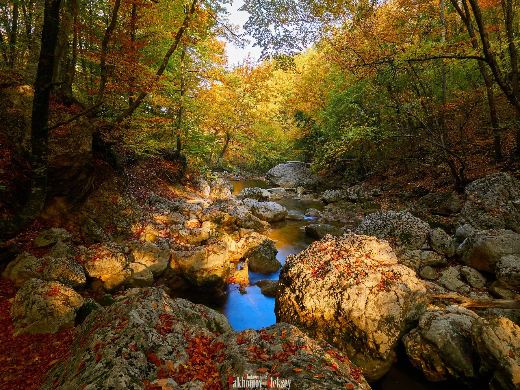 morning, autumn, forest, river, color, landscape, nature, outdoor, утро, рассвет, осень, цвет, пейзаж, природа, река, Aleksey Pakhomov