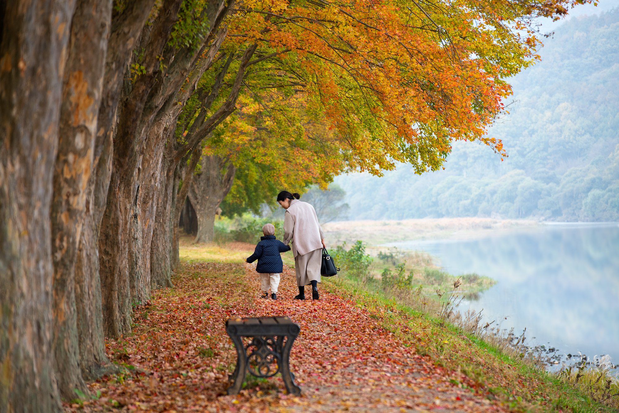 nature, forest, trees, park, mother, love, happy, autumn, Jaeyoun Ryu