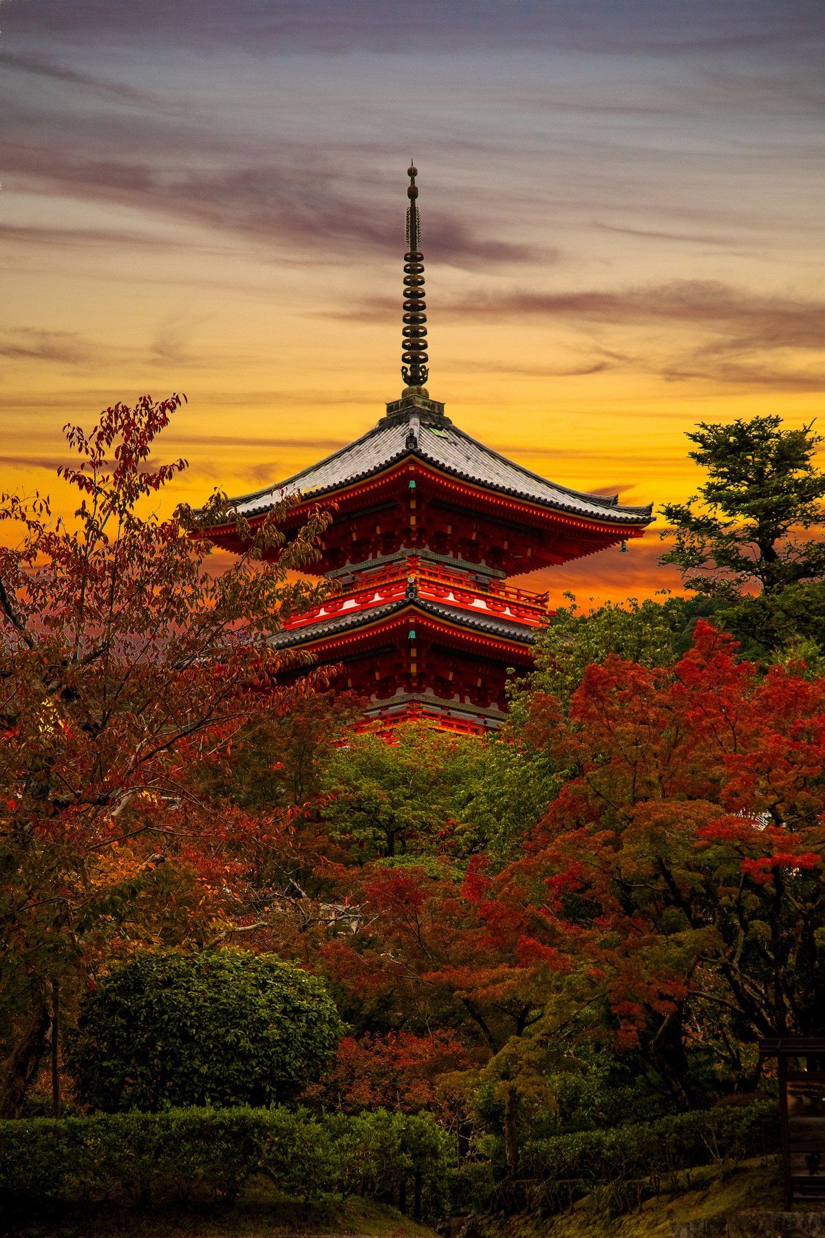 осень, природа, красный, клён, день, япония,путешествие, пагода, парк, Александр Игнатьев