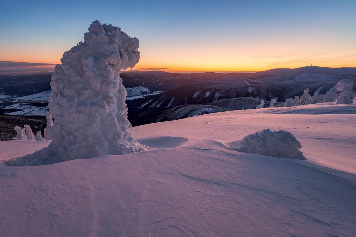 landscape, tree, sunrise, panorama, winter, cold, Petr Fiala