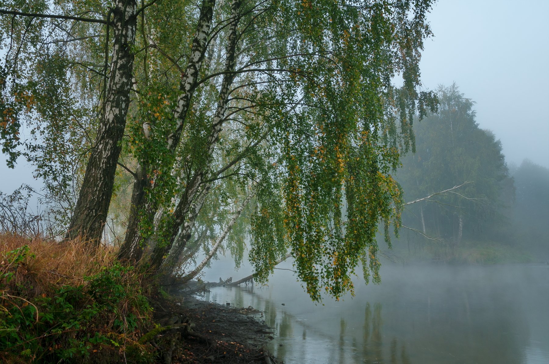 утро, осень, туман, Мария Минск