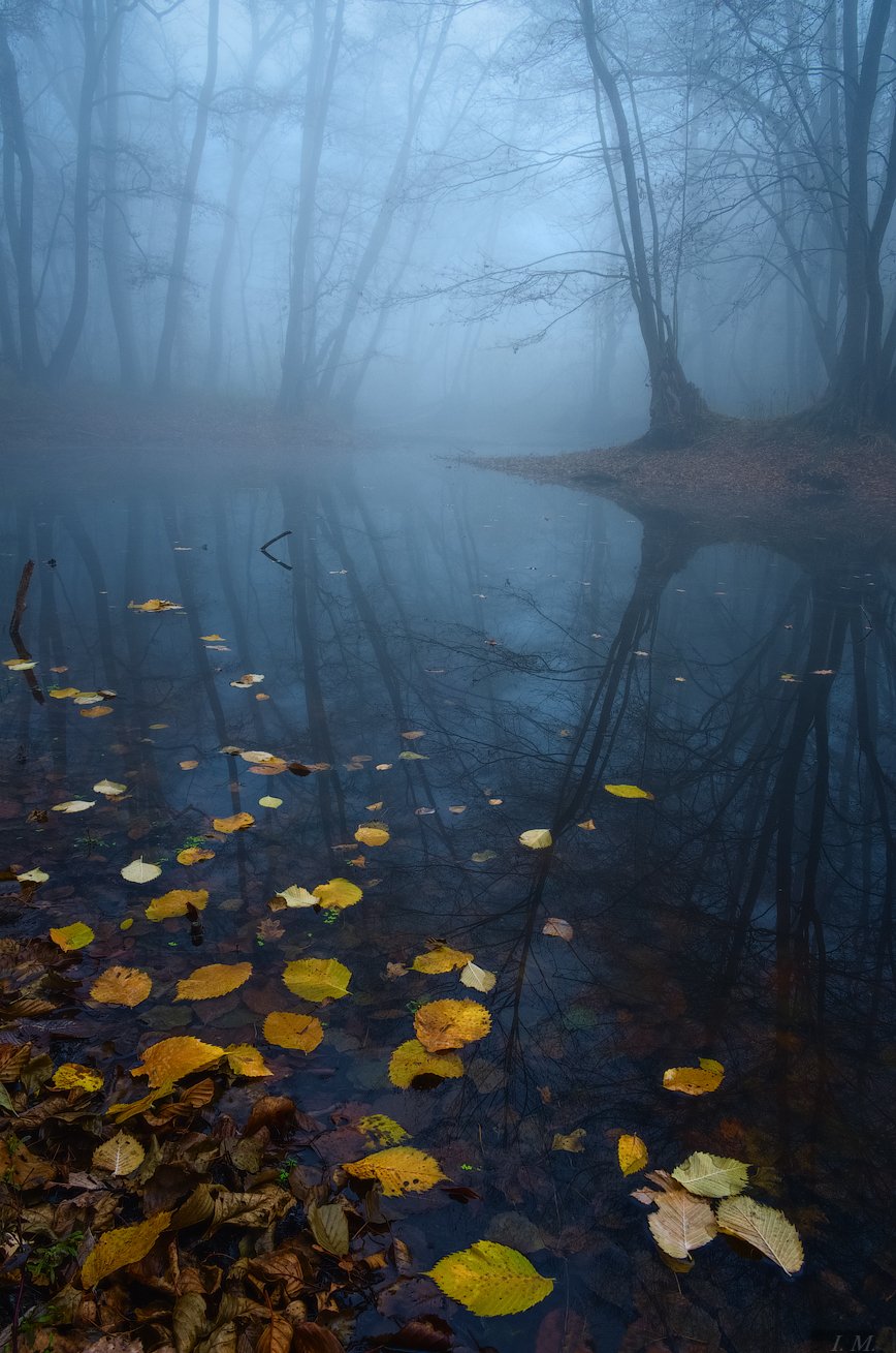 туман, лес, болото, осень, пейзаж, утро, листья, misty, autumn, deep, colors, fog, morning, fall, forest, swamp, water, foggy dawn, Landscape, blue, Ivan Maljarenko 