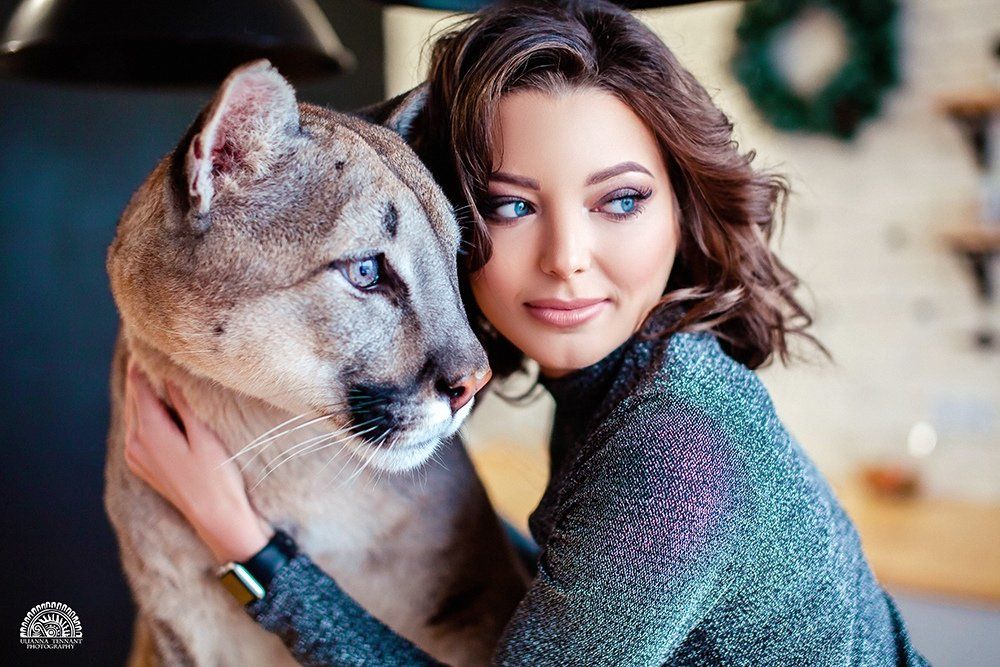 puma, girl, model, fashion, wild animal, cat, studio, photos, glamour, Теннант Юлианна