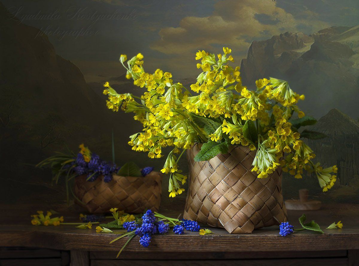 натюрморт с примулами,весна,букет,цветы,художественное фото,искусство., Людмила Костюченко