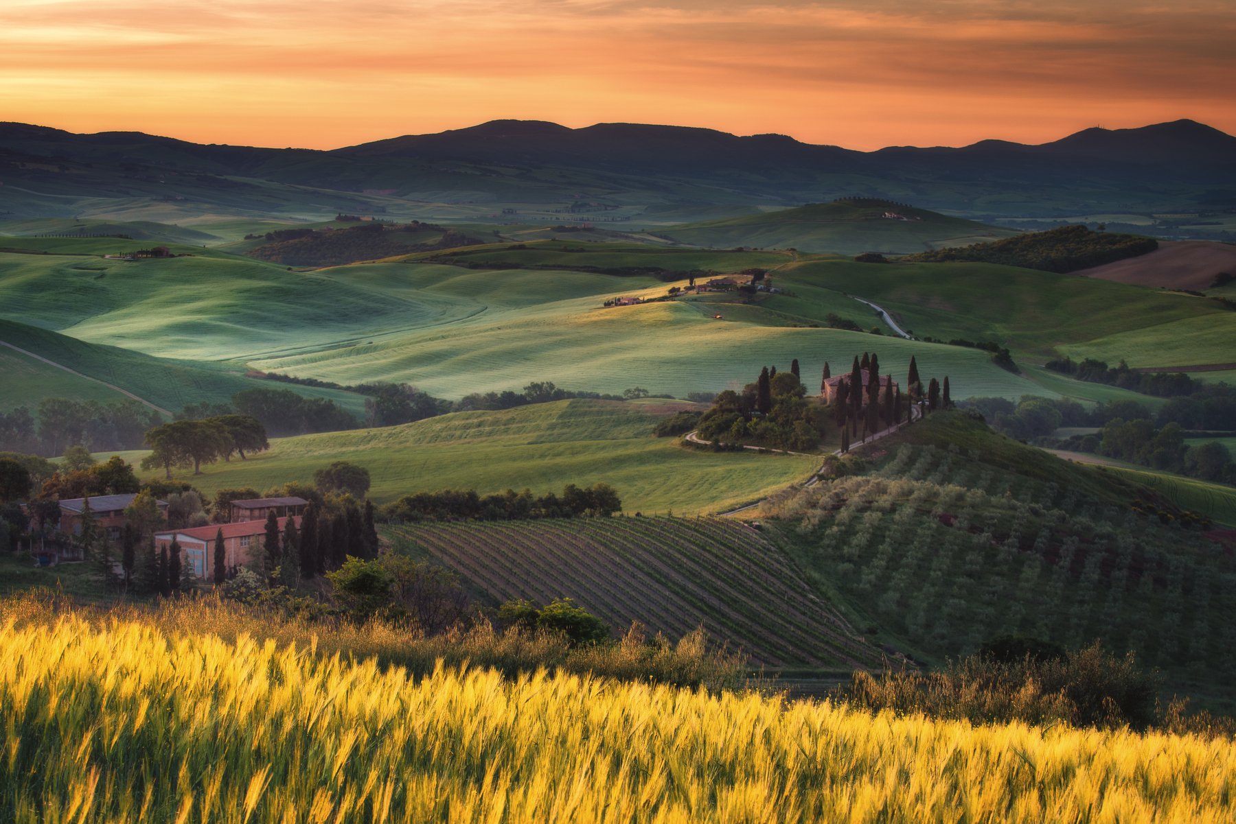 #tuscany #italy #landscapephotography #tuscanyworkshop #photographyworkshop #valdorcia, Jarek Pawlak