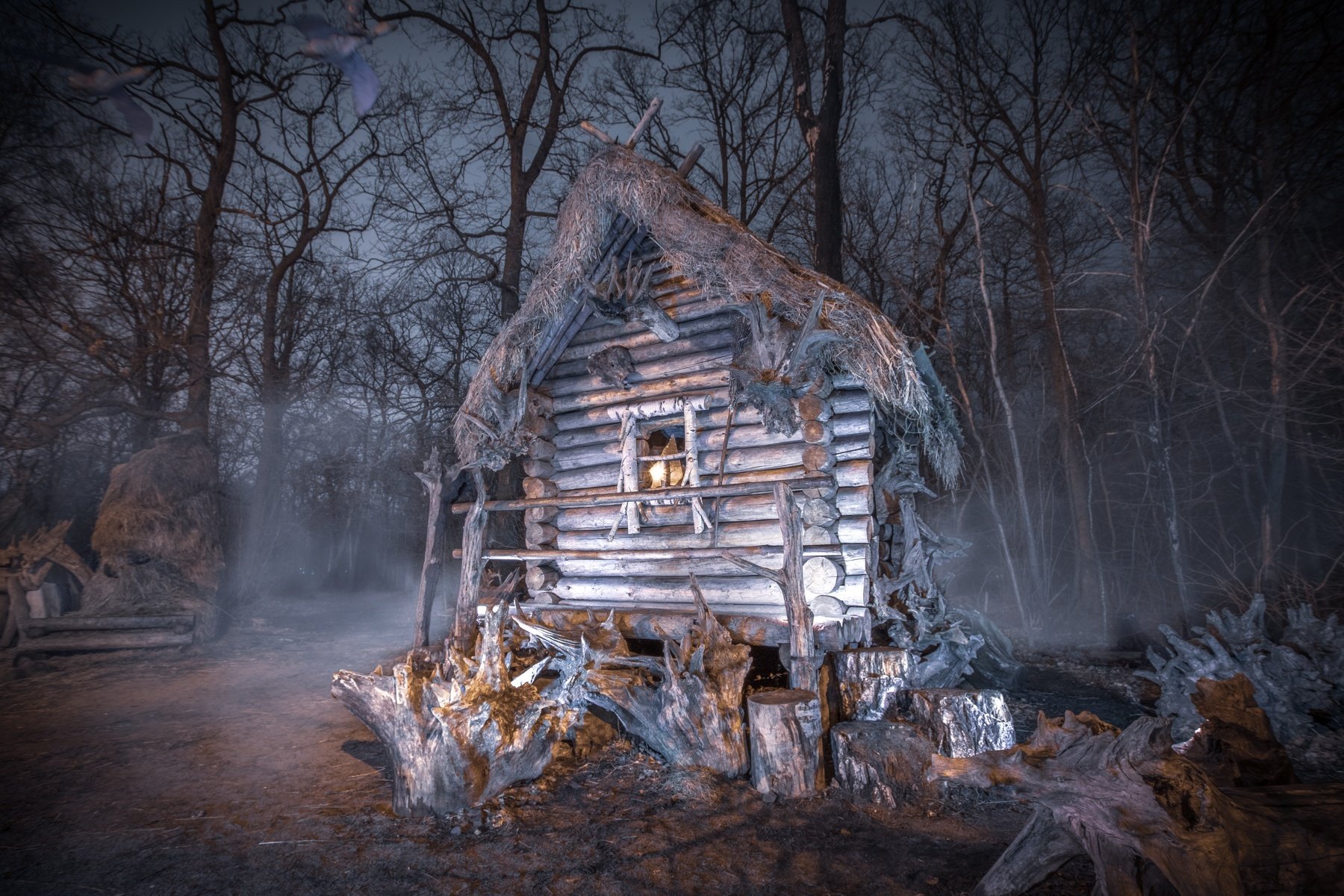 forest park house fog night outdoors nature cityscape mood dark winter wideangle longexpo, Александр Хрипушин