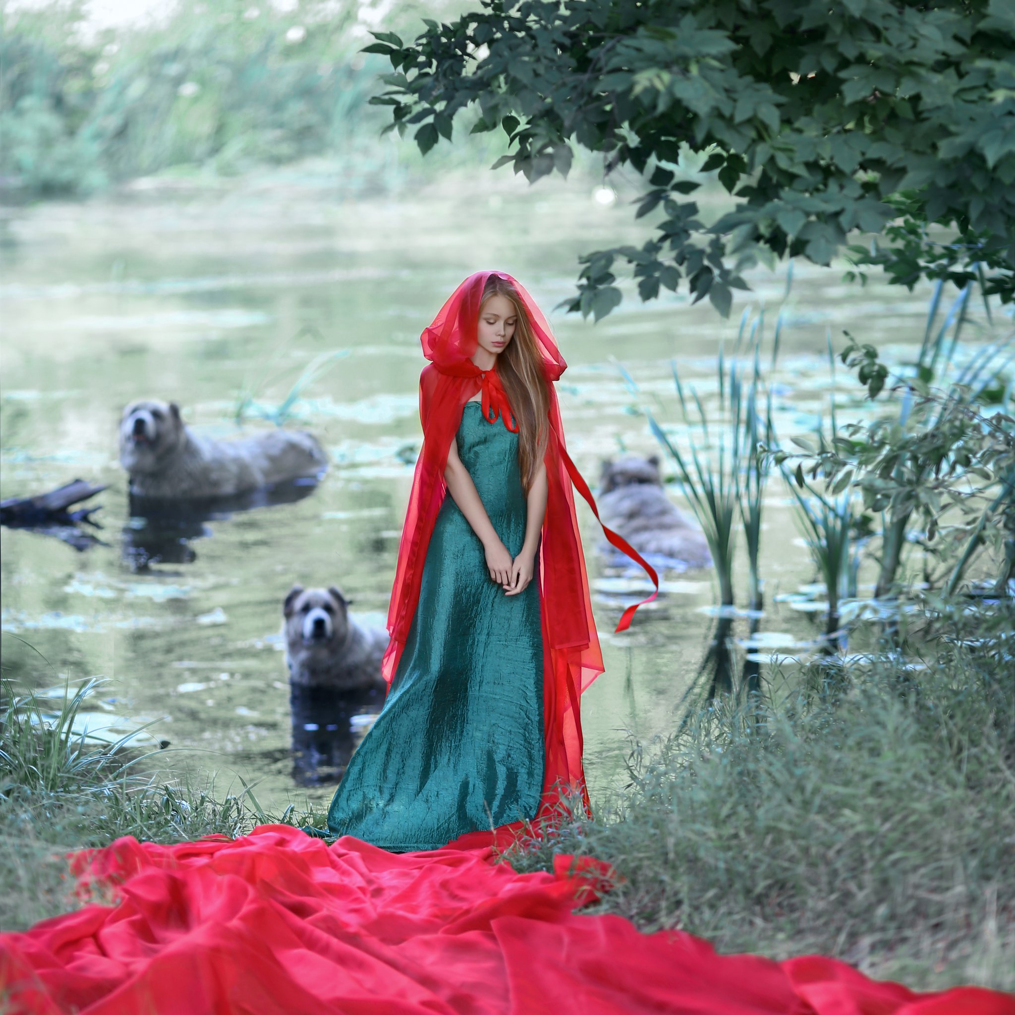 девушка у реки, алабай, собака, девушка с собаками, красный плащ, зеленое платье, купание собак, собаки в реке, Ирина Голубятникова