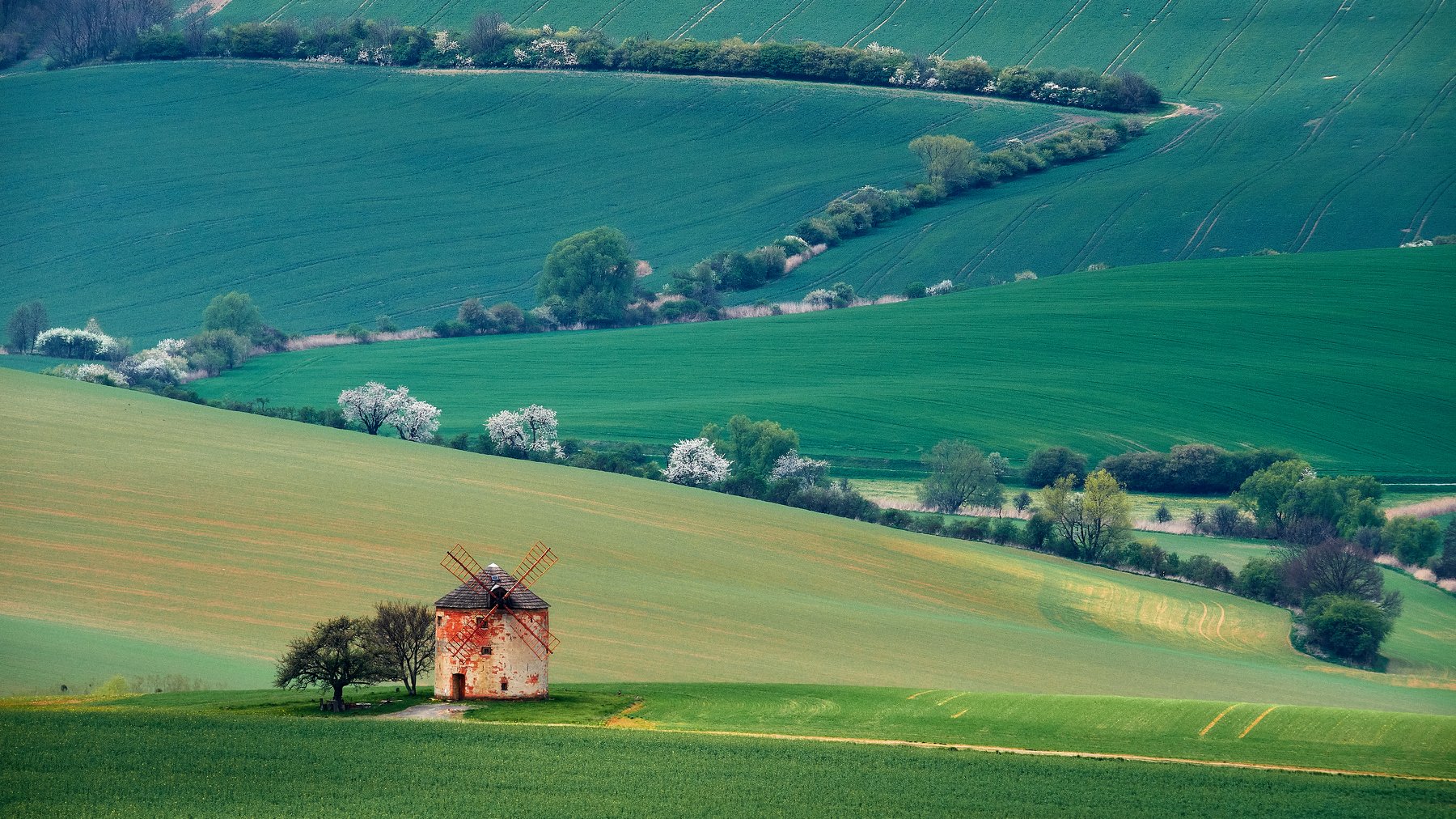 южная моравия, чехия, весна,  south moravia, czech, Пётр Дедковский