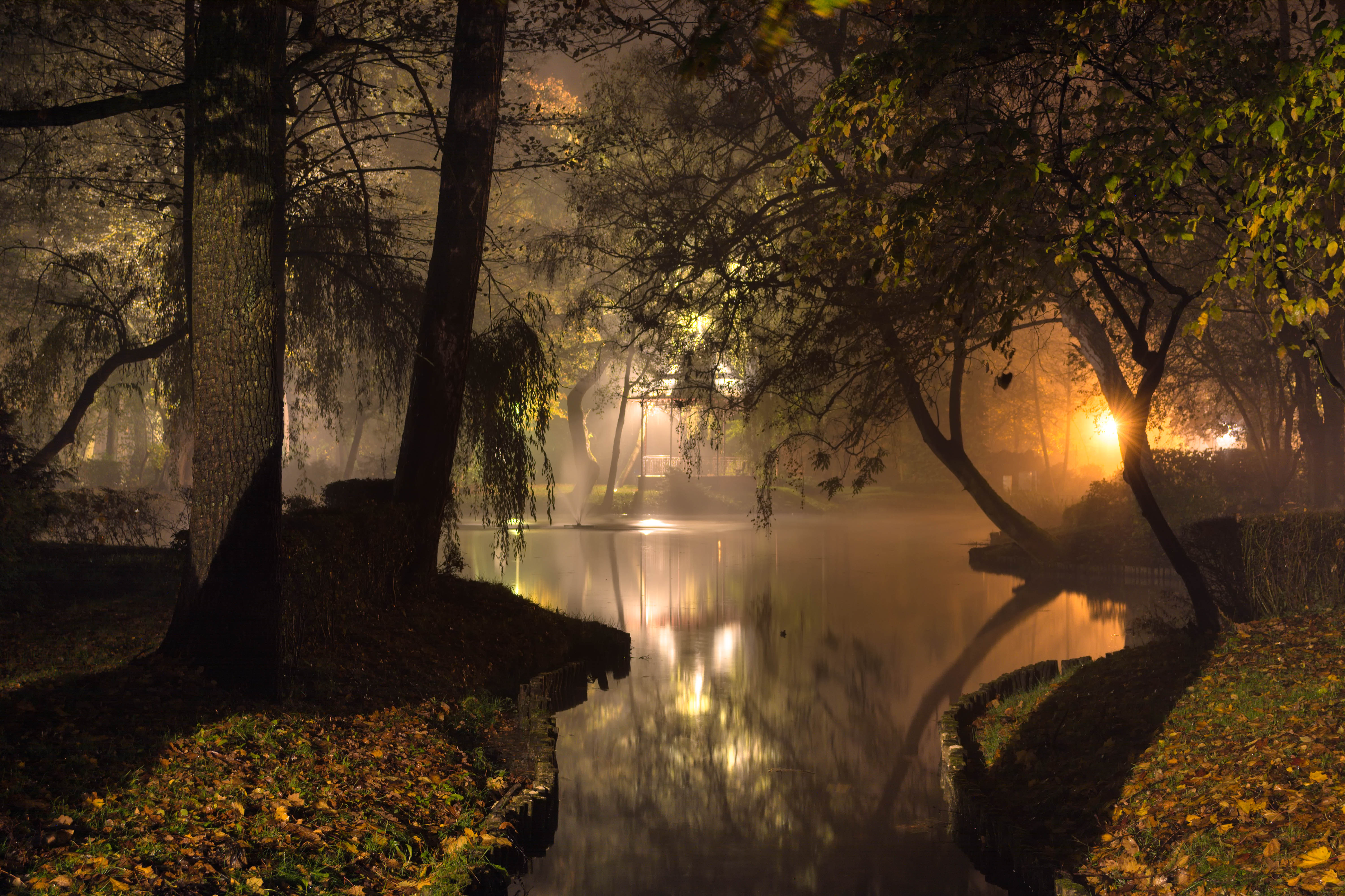 Park,nature,autumn,water,fog,trees,landscape, pond,light,nikon,mist,mirror,, Krzysztof Tollas