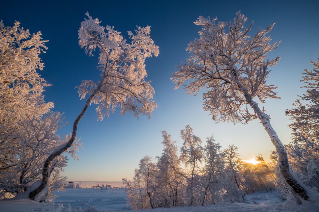 природа, снег, winter, север, кольский край, мороз, sun, солнце, сугробы, тропа, Алёна Салтыкова