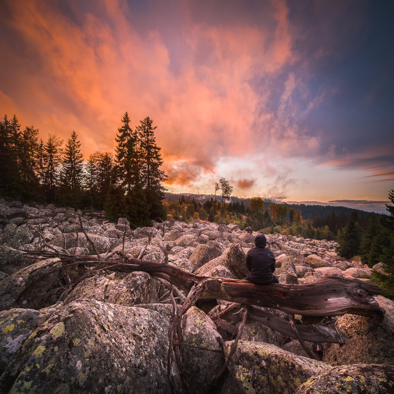 vitosha, autumn, bulgaria, travel, hike, sunset, Калин Панчев