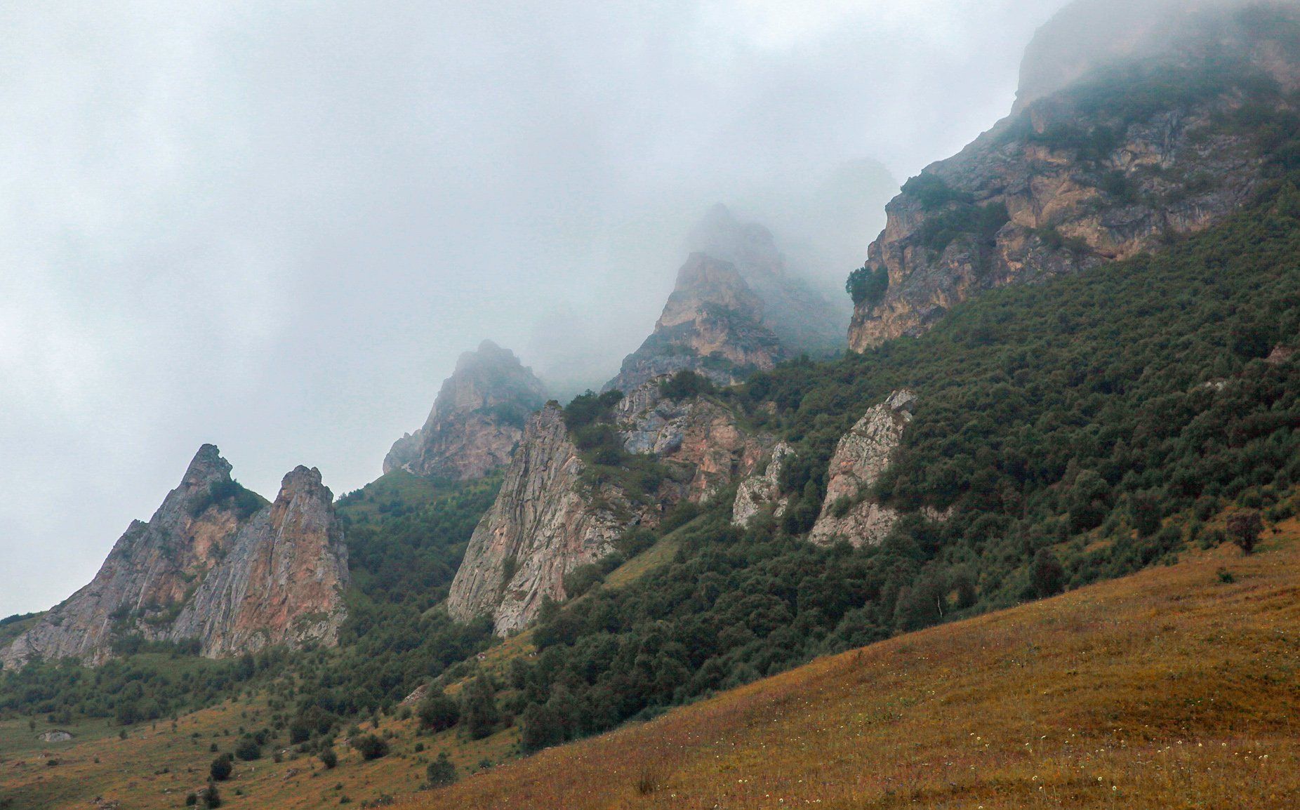 туман,пейзаж,горы,лес,природа,чегем,, Marat Magov