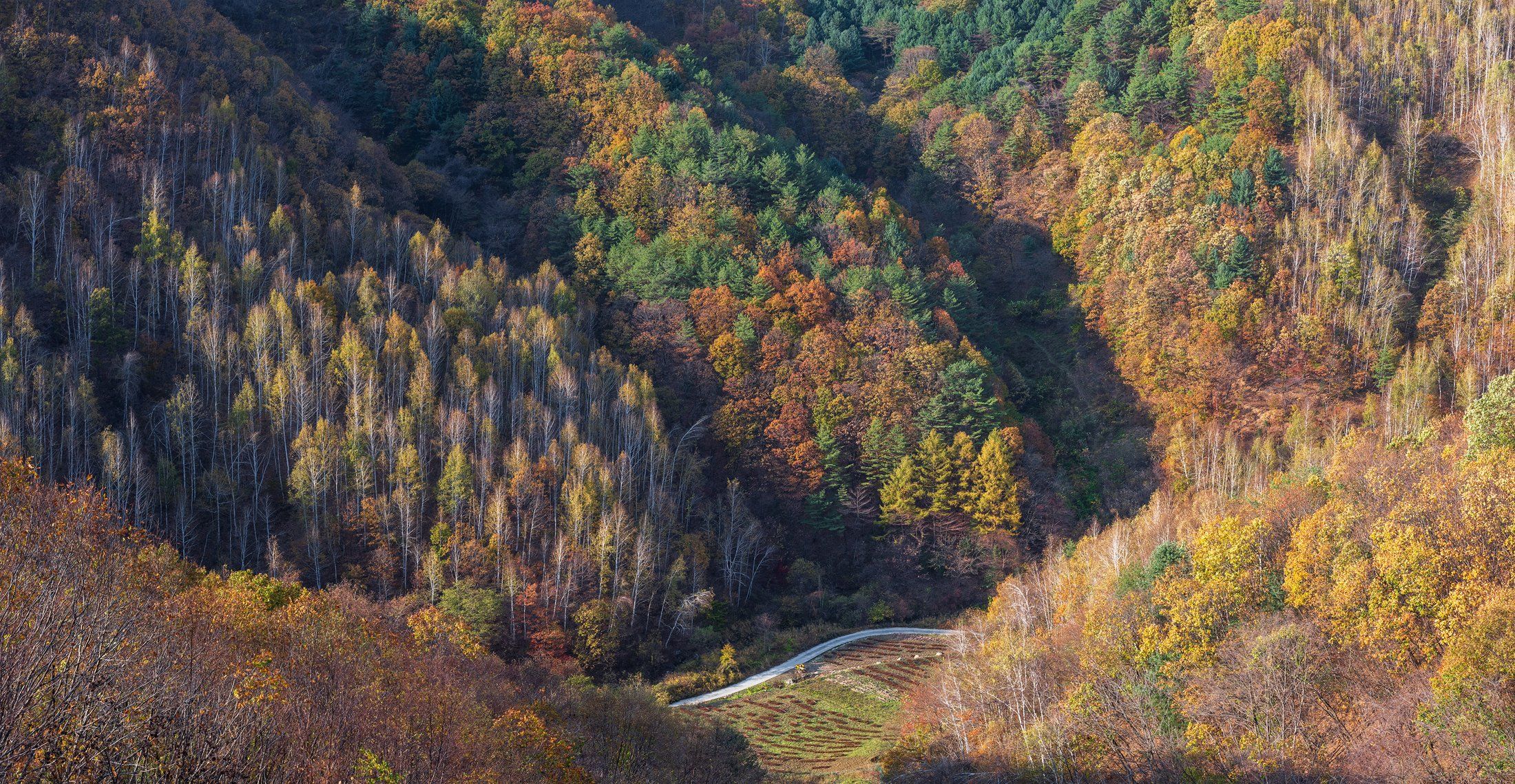 mountains,peak,hiking,autumn,light,colors,colorful, Jaeyoun Ryu