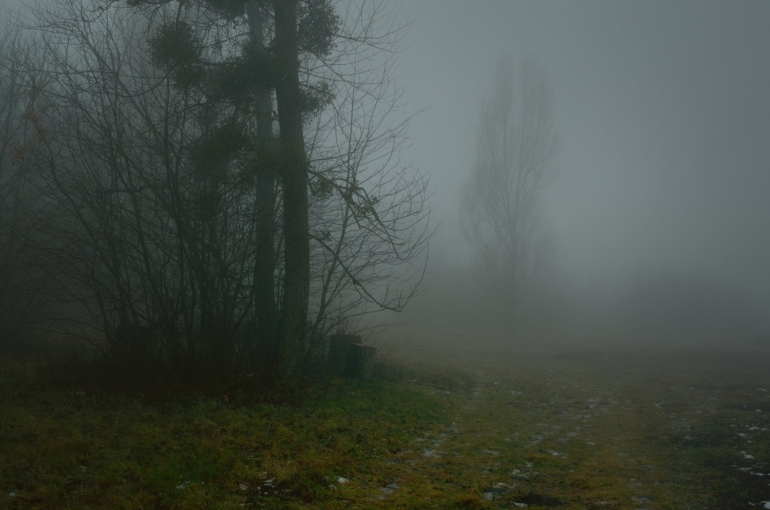 зима утро туман, Александр Жарников