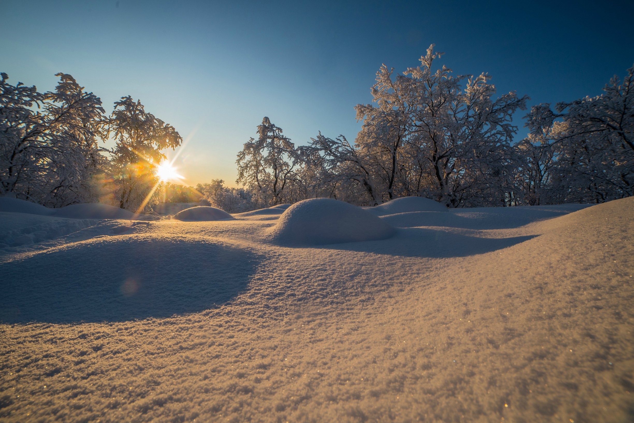 снег, winter, пейзаж, солнце, sun, сугробы, Алёна Салтыкова