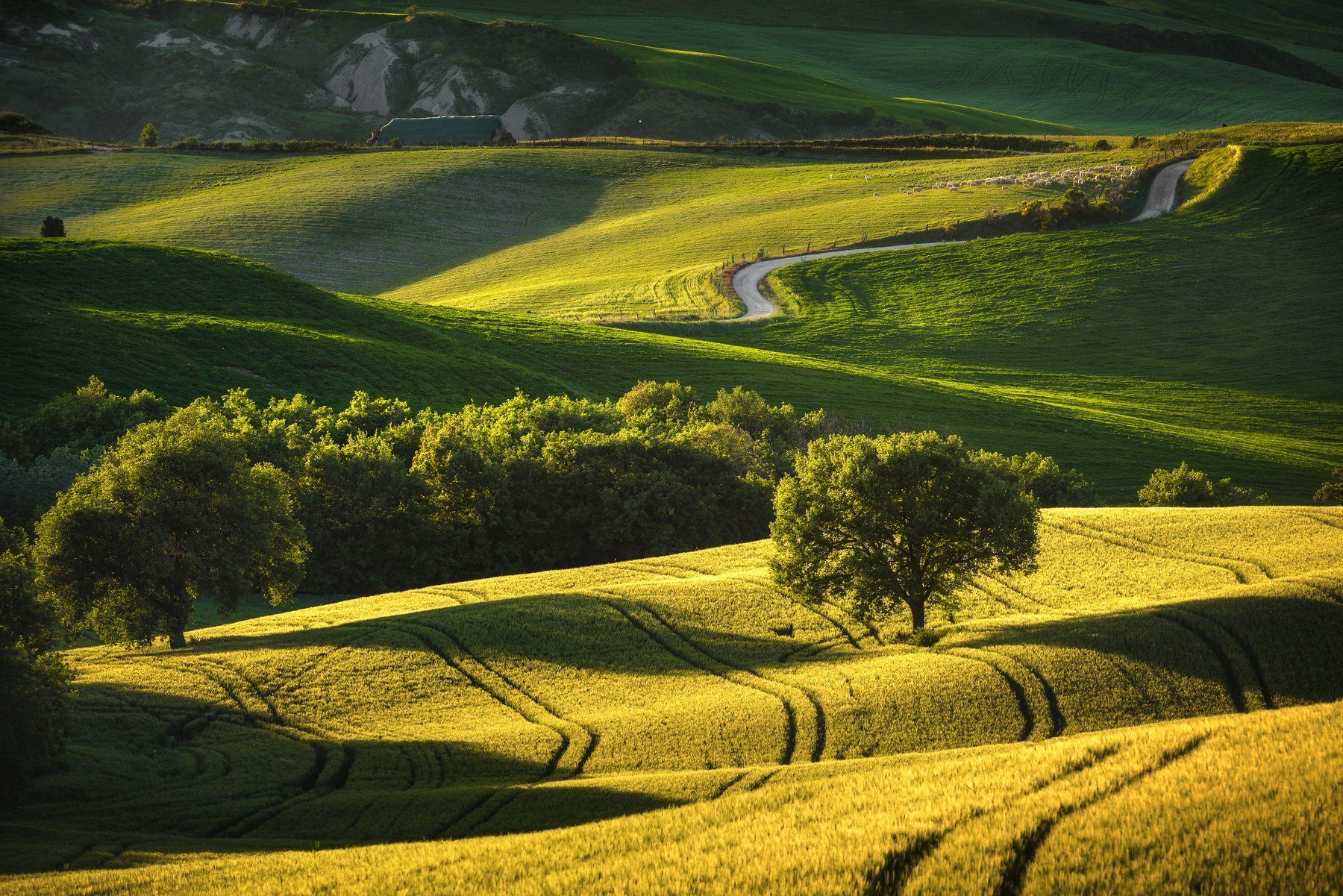#tuscany #italy #landscapephotography #tuscanyworkshop #photographyworkshop #valdorcia, Jarek Pawlak