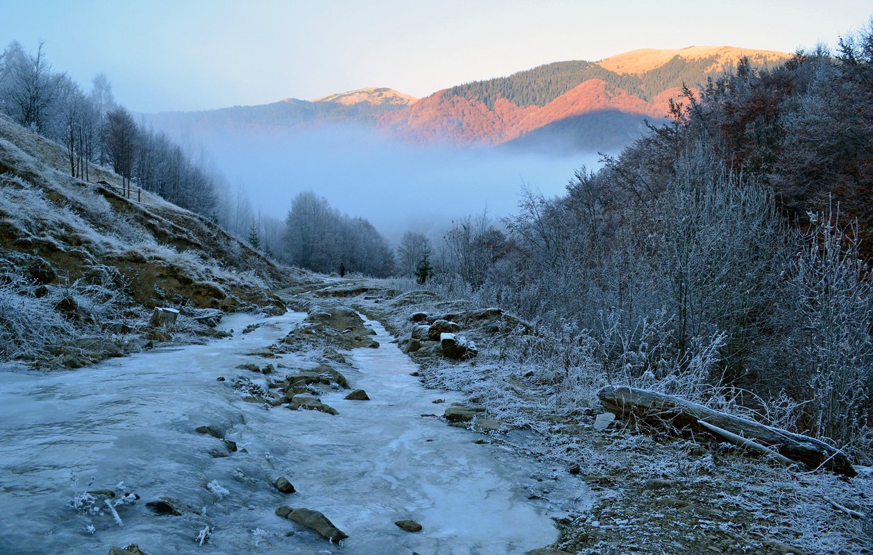 карпати, дорога, туман, лід, паморозь, гори,, Plishko Andriy