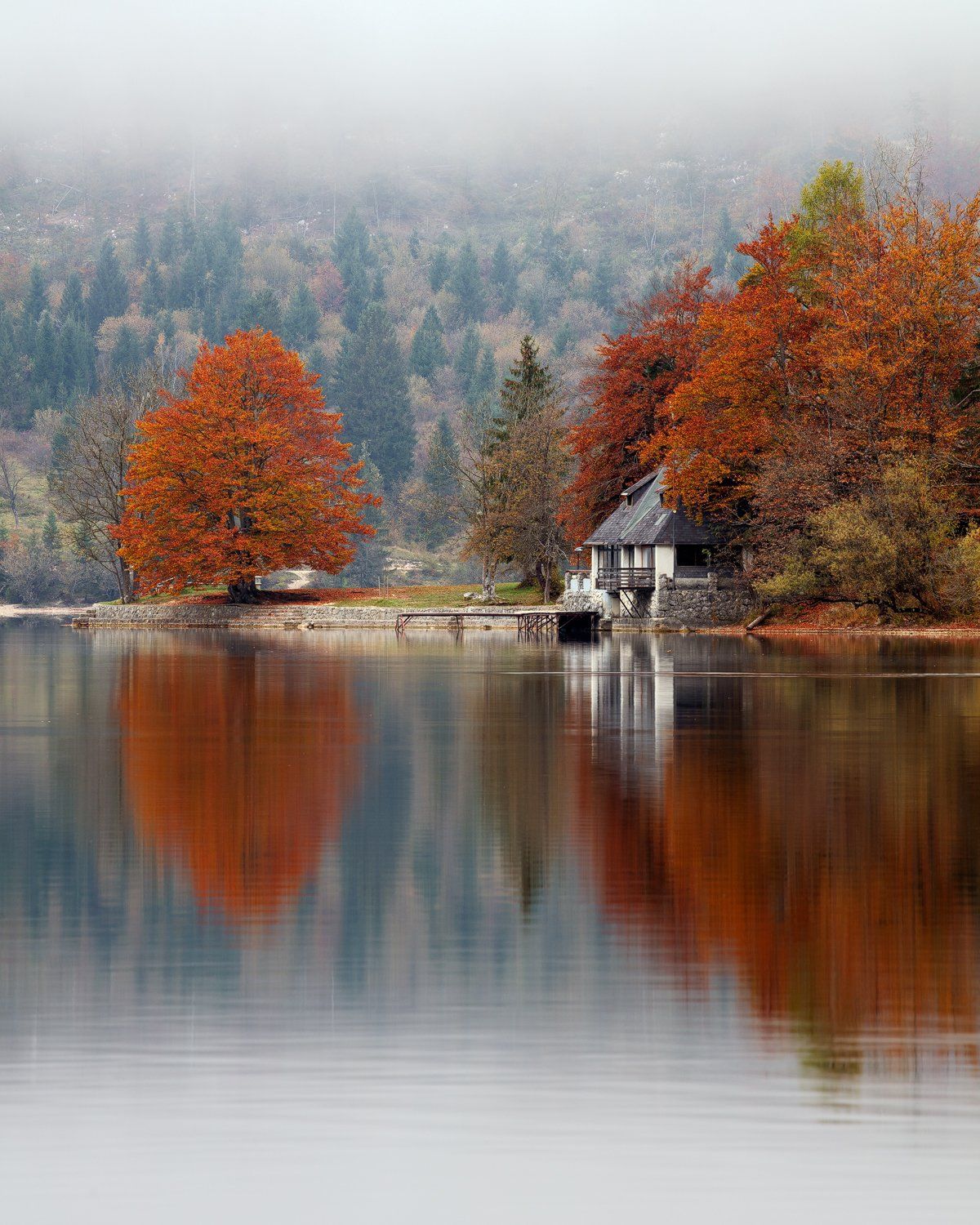 slovenia, lake, reflection, trees, colors, autumn, fog, mist, beautiful, nature, water, Martin Rak