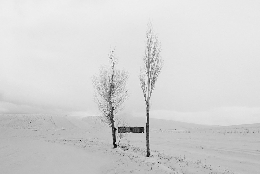 bnw, landscape, tree, snow, hut, Mohammad Dadsetan